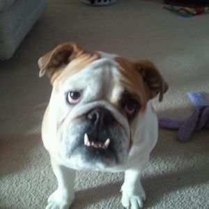 Meet your Posher, Nichole